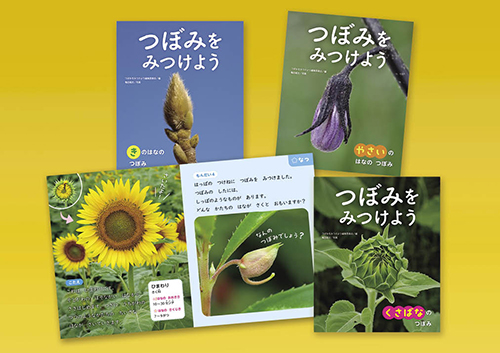 つぼみをみつけよう