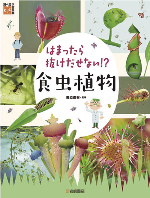 はまったら抜けだせない!? 食虫植物