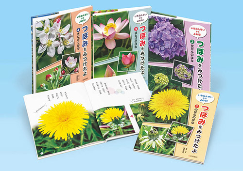 いちねんせいからよめる！　つぼみをみつけたよ