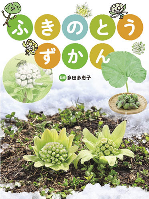 ふきのとう ずかん