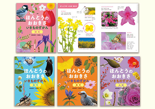 ほんとうの おおきさ いきものずかん