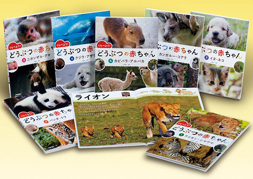 くらべよう！ どうぶつの赤ちゃん