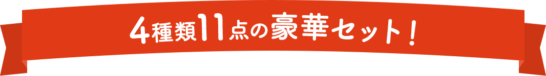 4種類11点の豪華セット！